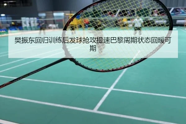 樊振东回归训练后发球抢攻提速巴黎周期状态回暖可期